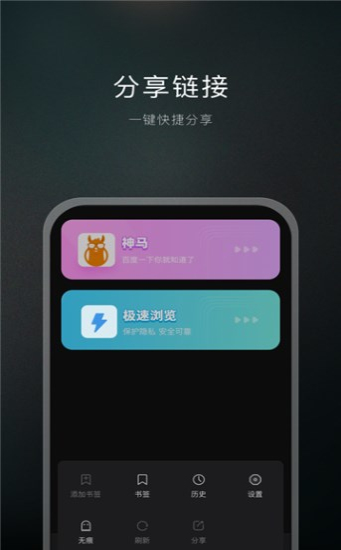 双子星浏览器免费版截图0