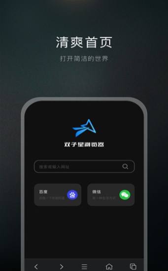 双子星浏览器免费版截图2