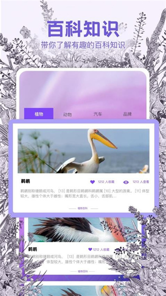 识物相机截图1