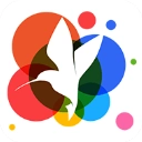 小鸟壁纸无广告版