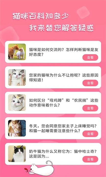 人猫翻译器软件截图3