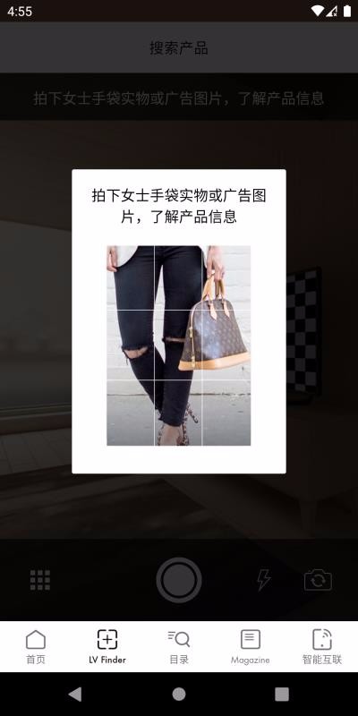 Louis Vuitton截图1