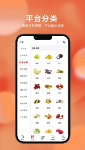 茂名墟通用版图3