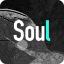Soul国际版 v3.77.0