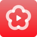 梅花视频手机正版