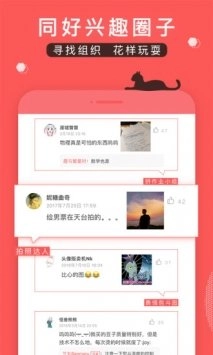 堆糖软件最新版图1
