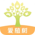 爱植树领皮肤官方正版
