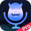 魔音变声器直装版