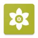 狮Install Lion安卓免费版