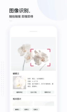 简单搜索升级版图1