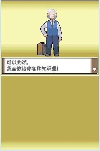 口袋妖怪白金截图