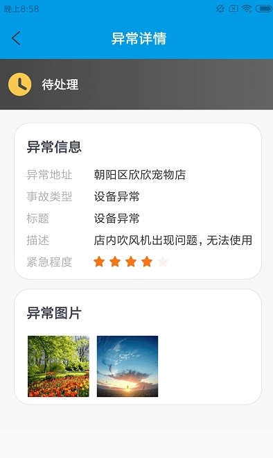 速旺宠运截图0