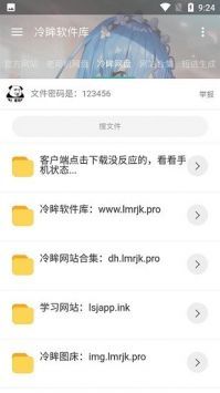 冷眸软件库自动安装设置界面