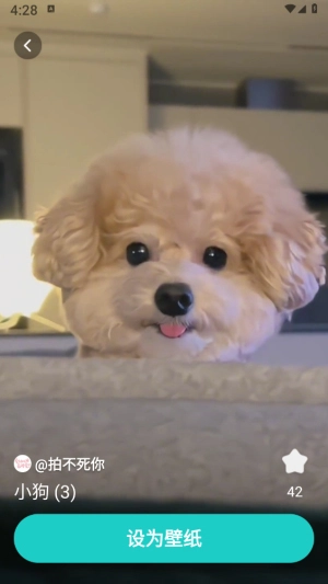 青藤壁纸去广告版图3