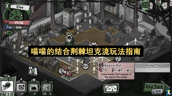 喵喵搭配荆棘坦克流玩法指引