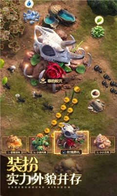 小小蚁国蚁族时代中文版