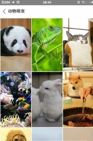 旋风壁纸去广告版图2