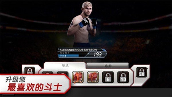 UFC终极格斗冠军赛排行榜界面