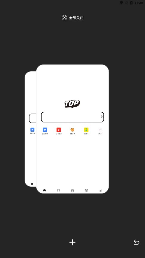 Top浏览器最新版图3