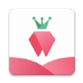 樹莓閱讀小說版