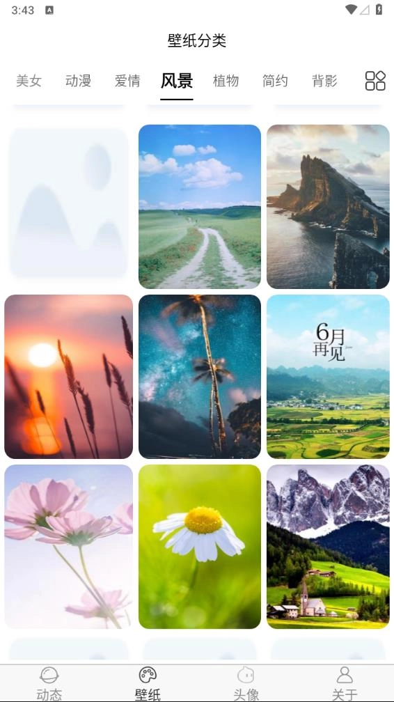 飞花动态壁纸手机版图2