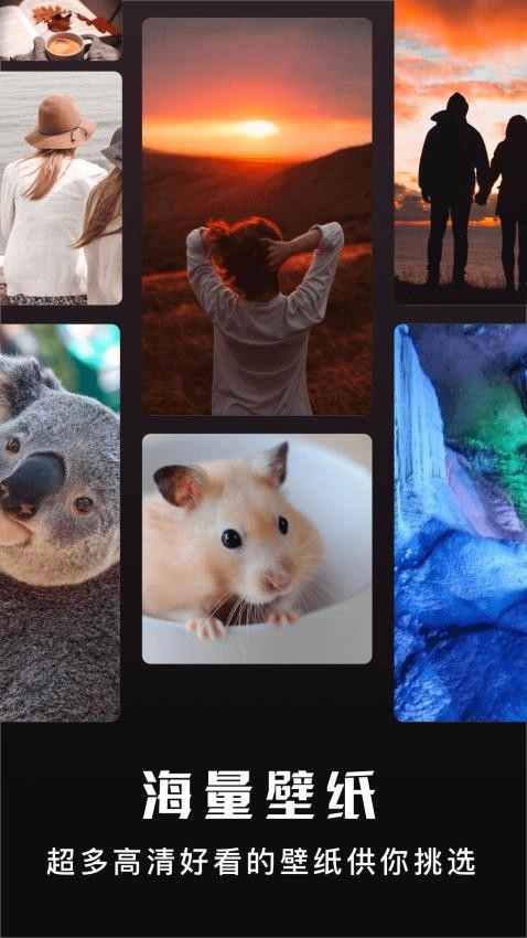 主题盒免费安卓版图2