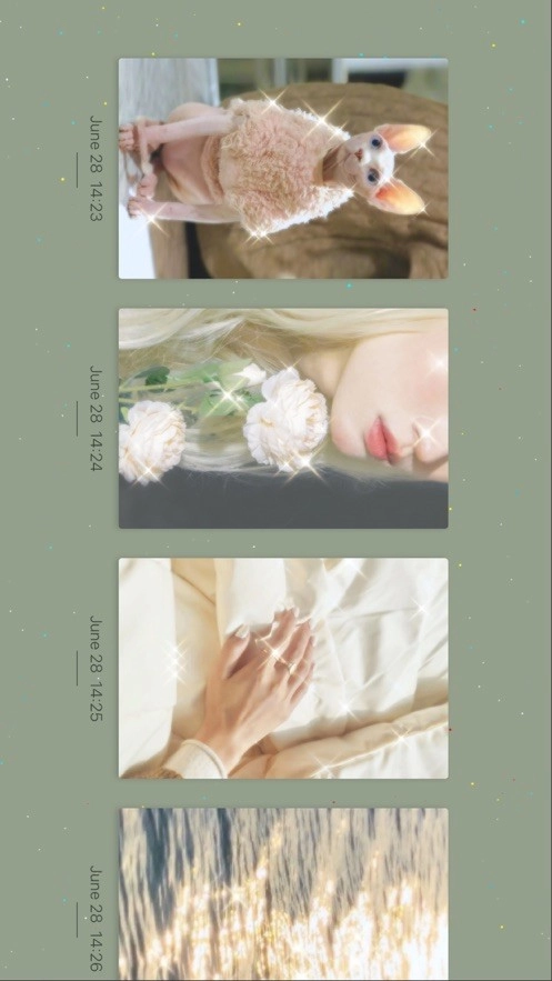 Chic Cam相机手机免费版图4