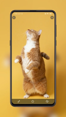 纸塘壁纸免费原版图2