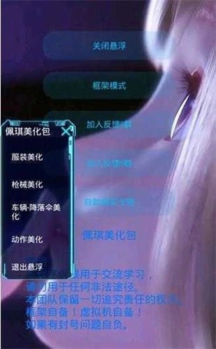 佩琪美化框架手机版图3