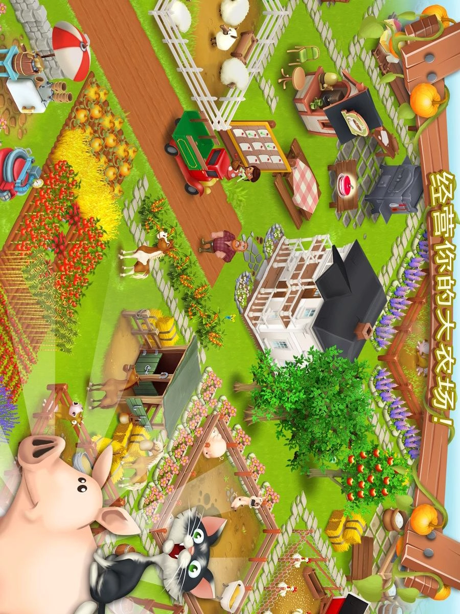 卡通农场(1)