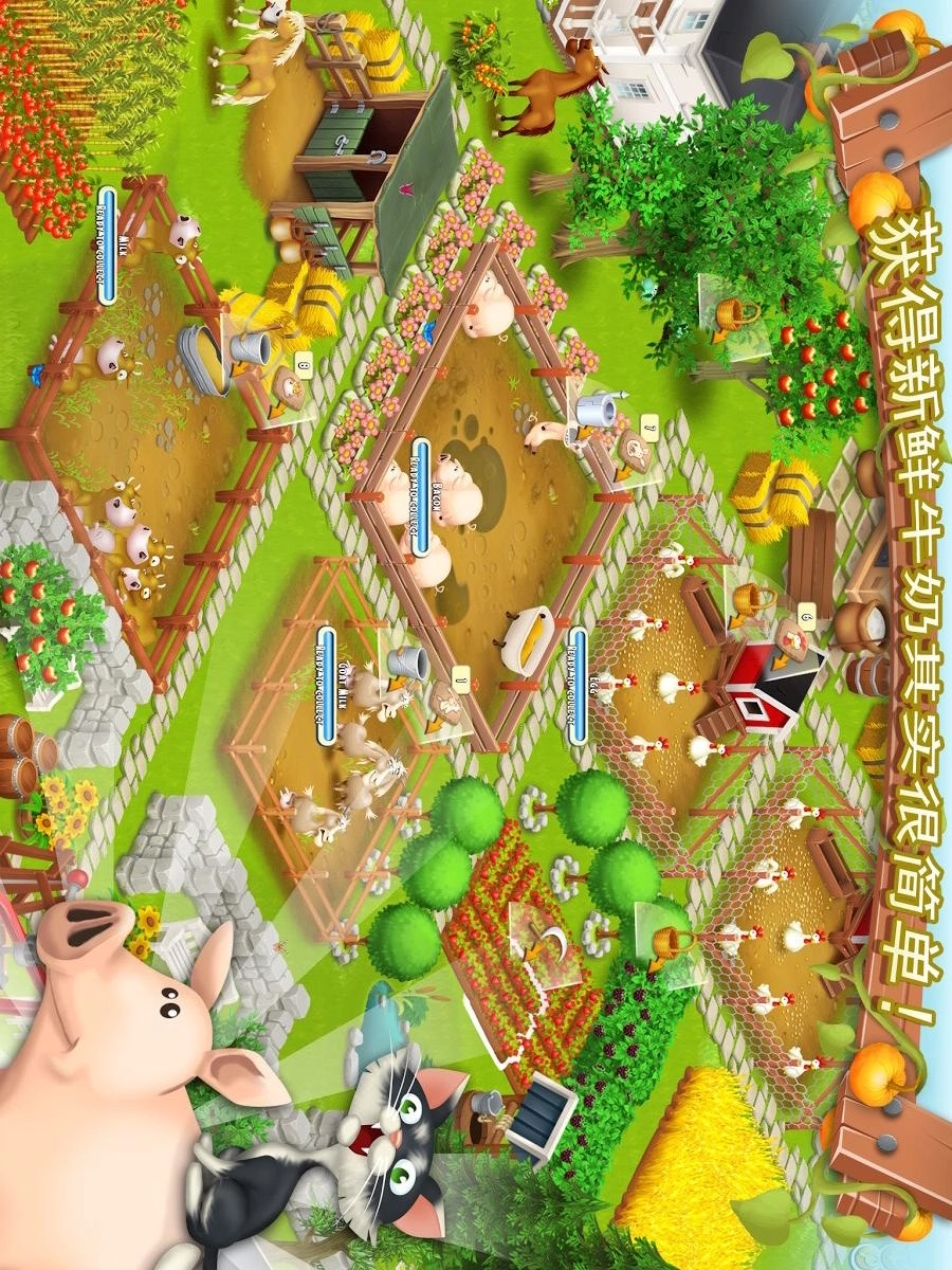 卡通农场(3)