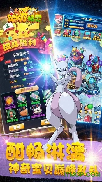 宠物小精灵小游戏免费手机版