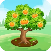 果园多多红包版