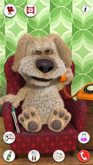 会说话的狗狗本无广告游戏纯净最新版图3