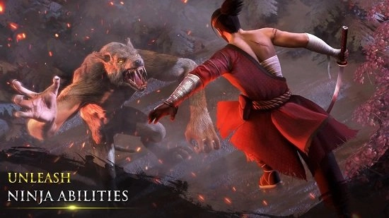 忍者武士隆汉化版(3)