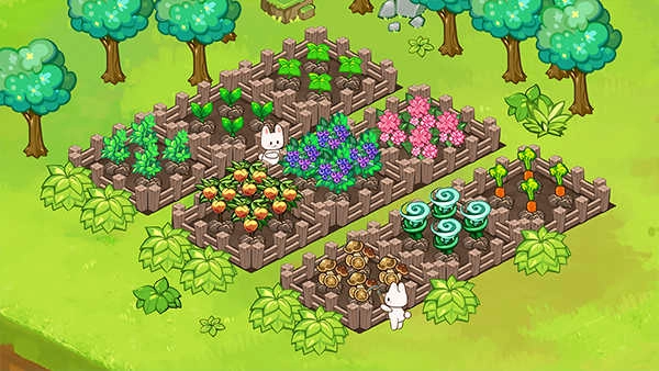 动物营地游戏(1)