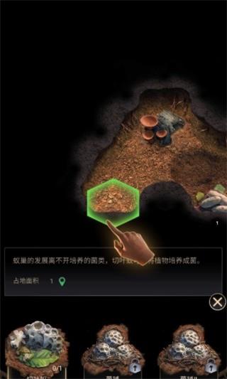 蚂蚁地下王国国际服截图1