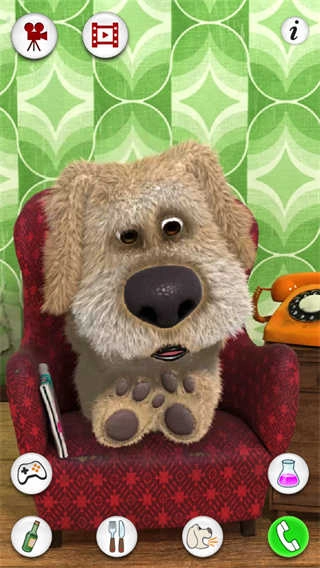 会说话的狗狗本无广告游戏纯净最新版图4