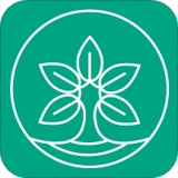 比茶大陆