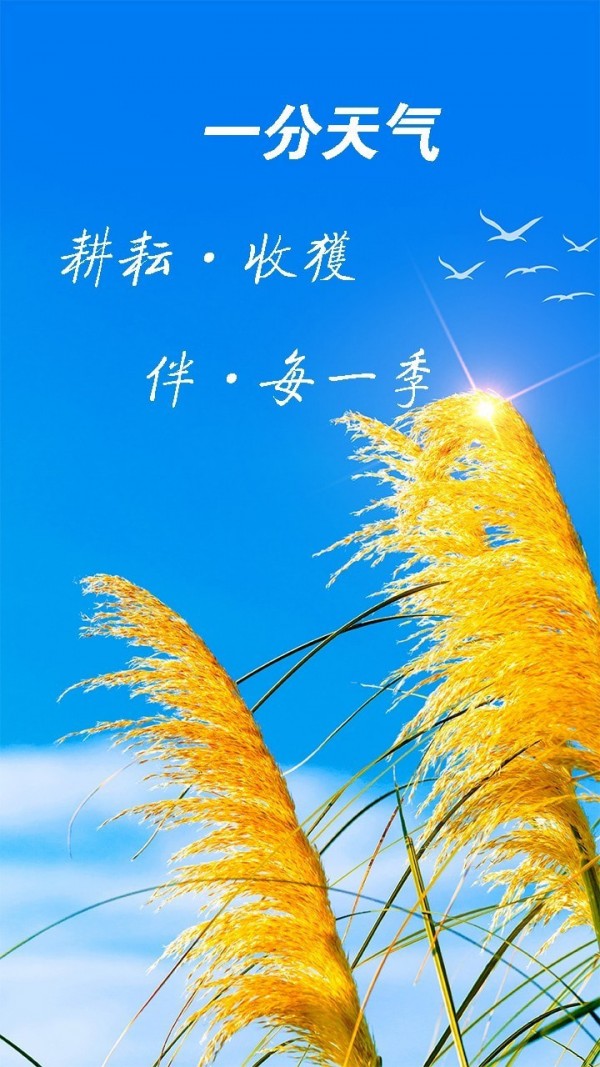 天气预报神器截图