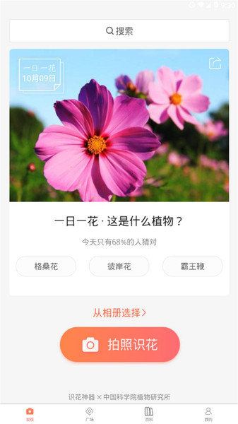 花朵识别截图