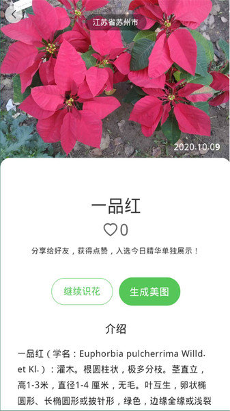 花朵识别截图