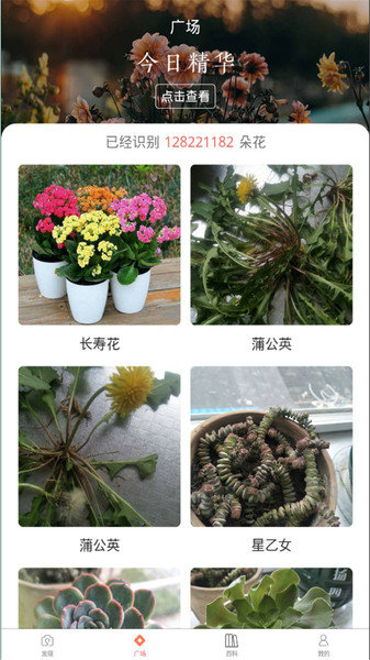 花朵识别截图