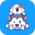 宠物狗猫交流器