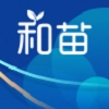 和苗运动