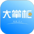 大掌柜服务商