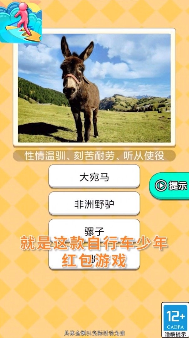 自行车少年红包版