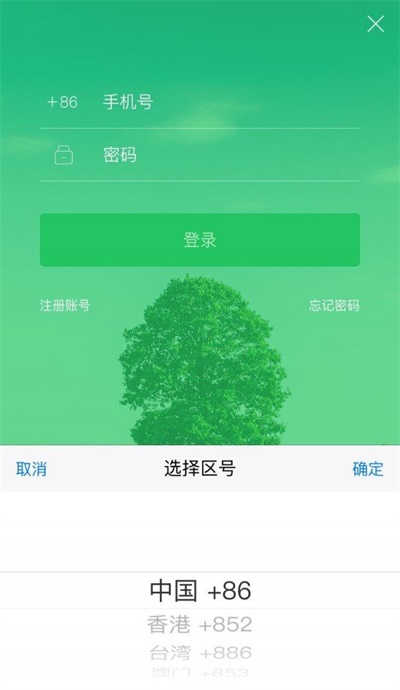 大树旅行1
