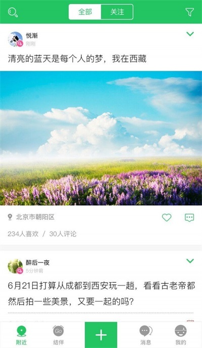 大树旅行2