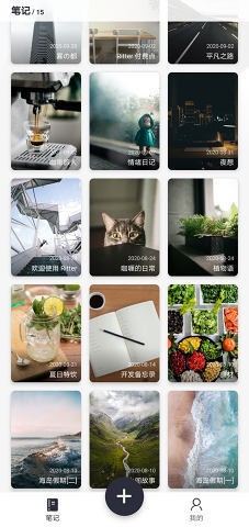 ritter截图